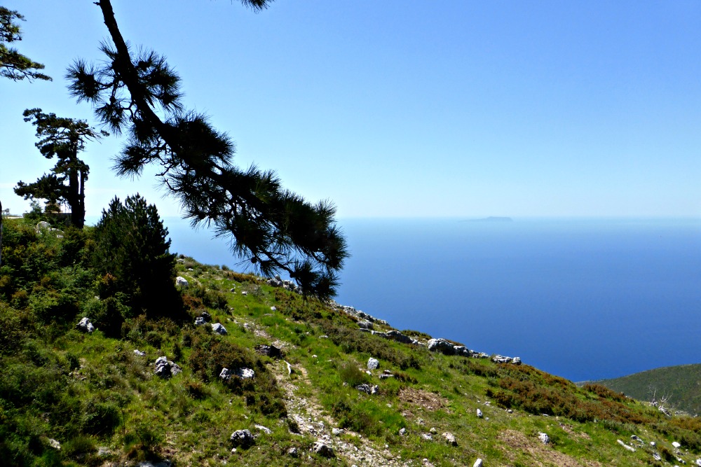 Driving through the Llogara National Park in Albania and you'll be treated to beautiful views of the Ionian Sea {www.onetripatatime.com}