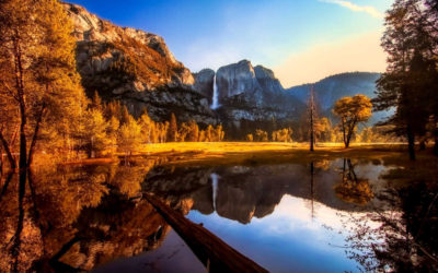 21 Things to do in California