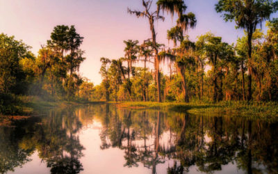 21 Things to do in Louisiana