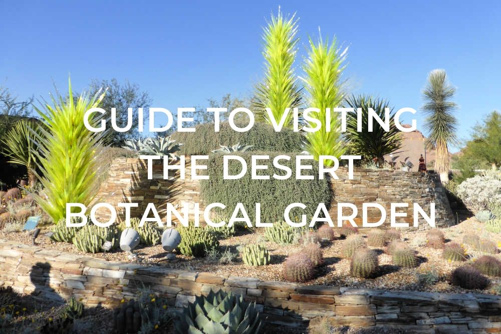 Guide To Visiting The Desert Botanical Gardens One Trip At A Time
