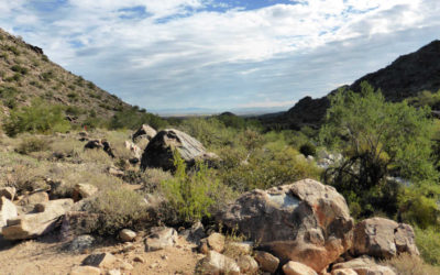 Guide to Visiting Phoenix’s Waterfall Canyon Trail