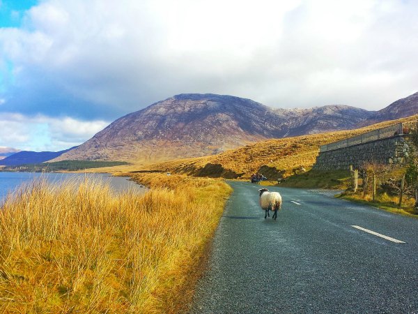 Ireland Road Trip Itinerary Thumbnail