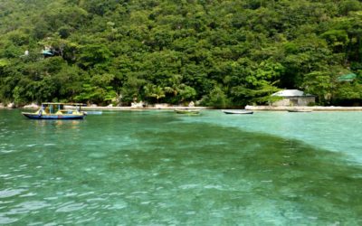 Cruise Excursion Review Labadee: Paradise Cove and Haitian Village