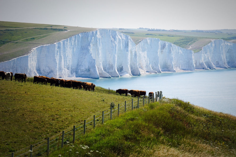 Day Trips from London - Seven Sisters Cliff Walk (Moon Honey Travel)