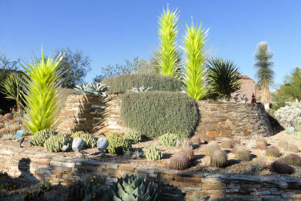 Phoenix Itinerary Desert Botanical Garden