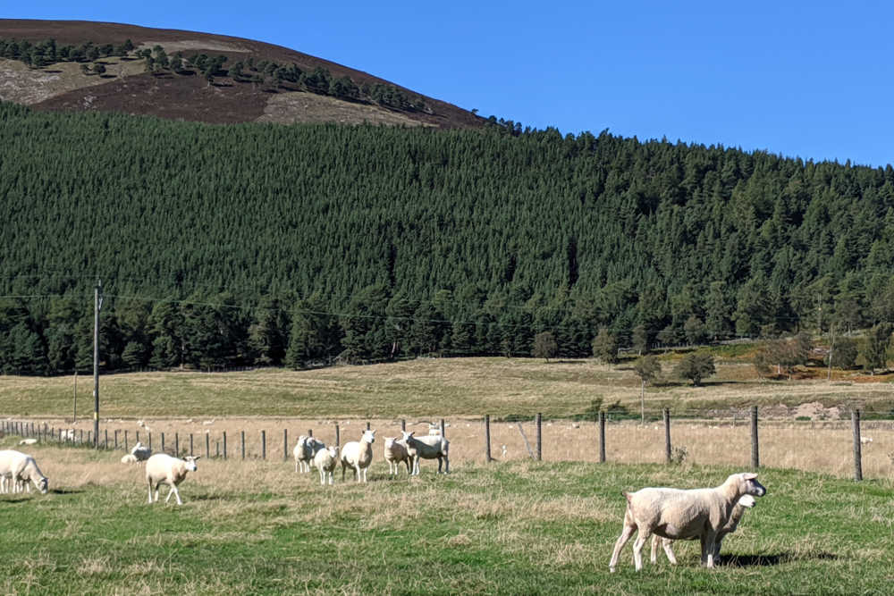 Weekend Breaks in Scotland - Cairngorms National Park (Travel Addict)