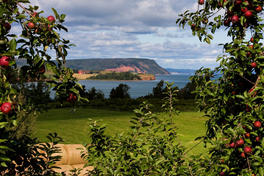 8 Great Places to Visit in the Bay of Fundy and Annapolis Valley Region