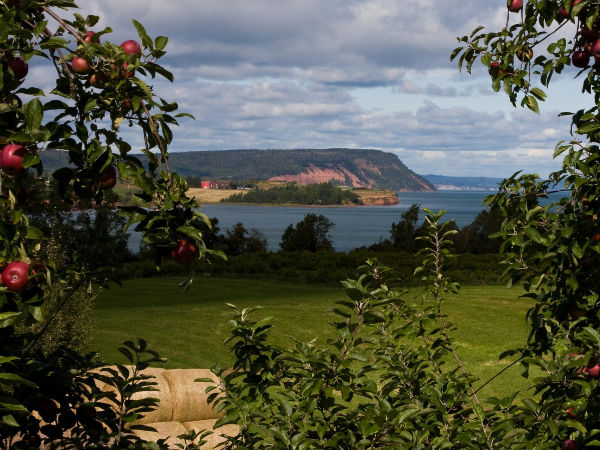 8 Great Places to Visit in the Bay of Fundy and Annapolis Valley Region Thumbnail