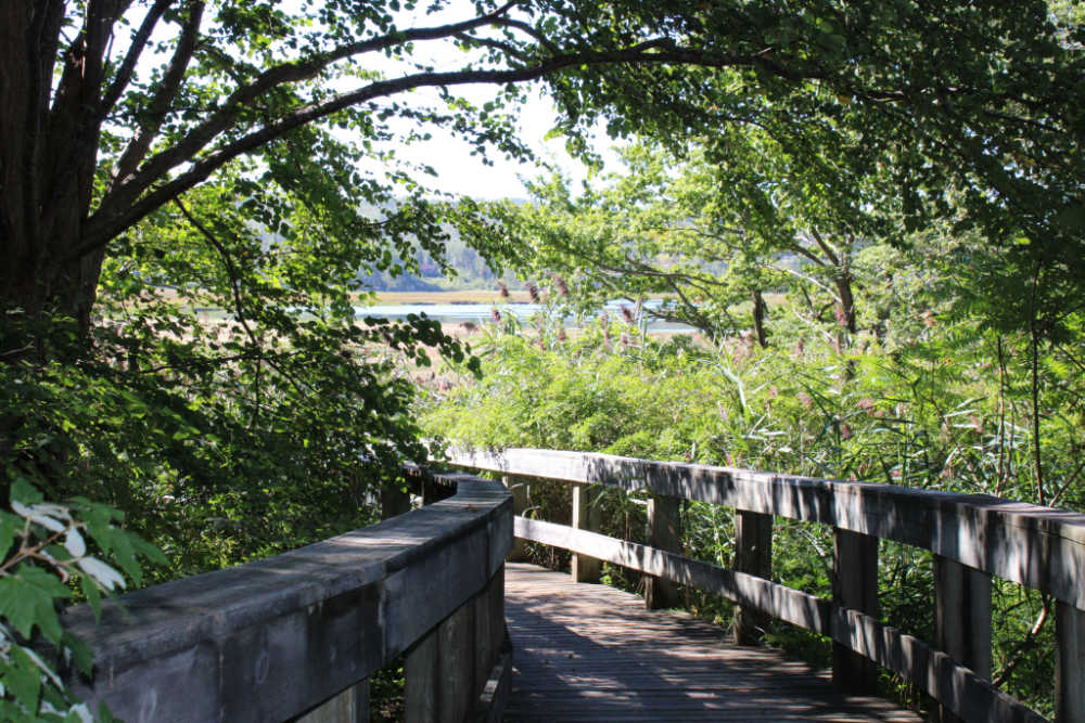 Guide to Visiting the Annapolis Royal Historic Gardens - Elephant Grass Boardwalk