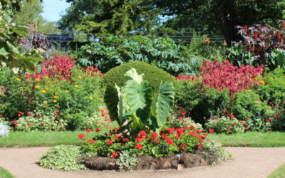 Guide to Visiting the Annapolis Royal Historic Gardens