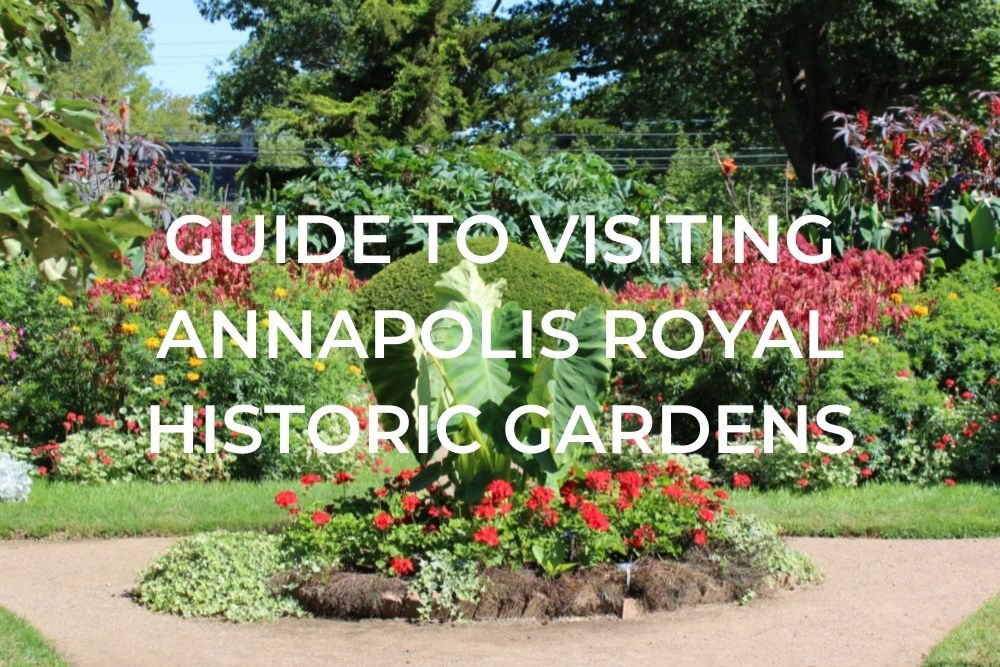 Guide to Visiting the Annapolis Royal Historic Gardens Mobile Header