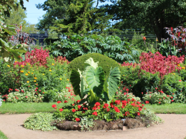 Guide to Visiting the Annapolis Royal Historic Gardens Thumbnail