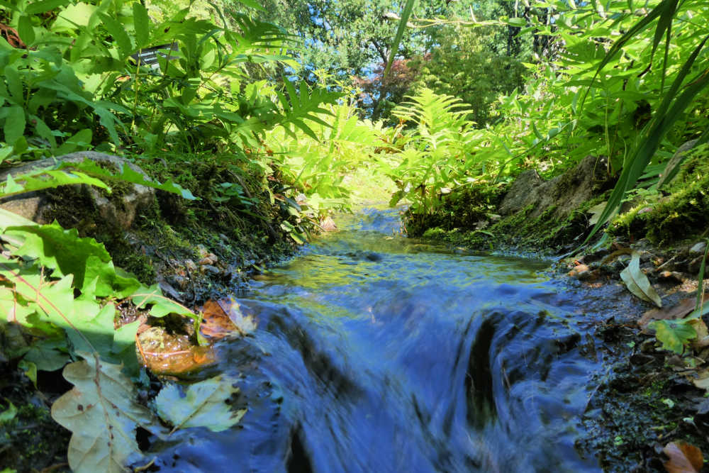 Guide to Visiting the Annapolis Royal Historic Gardens - Water flowing under bridge