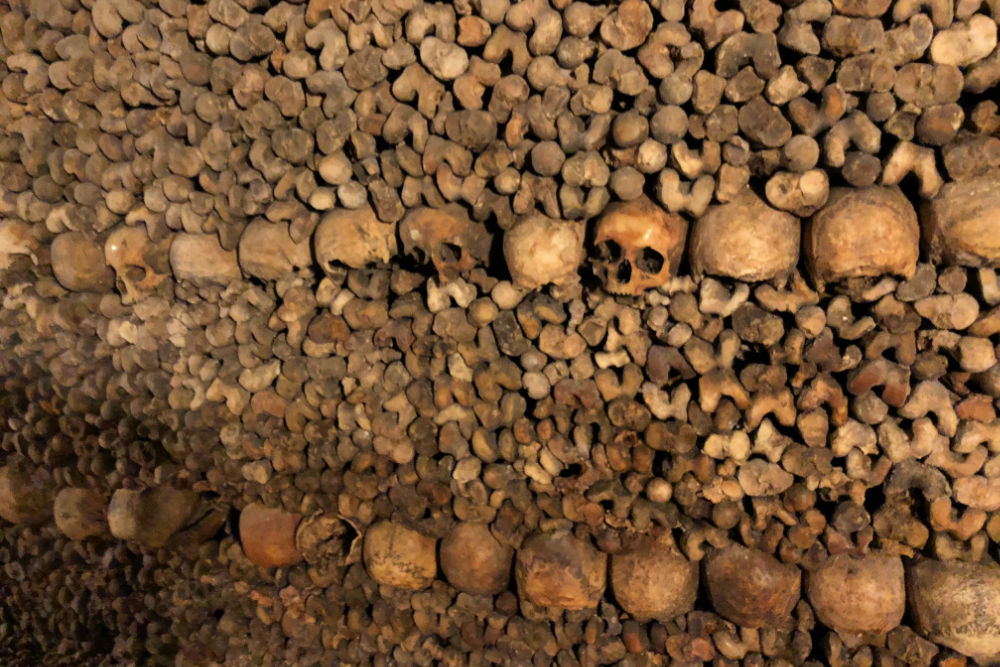 Things to Do in Paris - Catacombs (Trip Scholars)