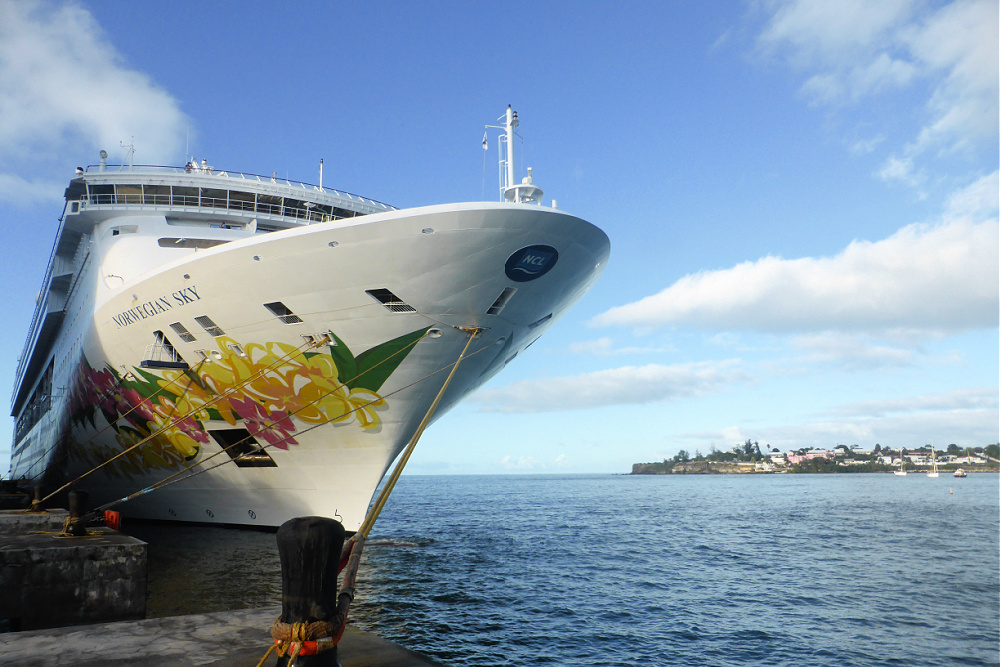 An image of the bow of the Norwegian Sky cruise ship. The ship is white with colourful flowers painted on the side. 