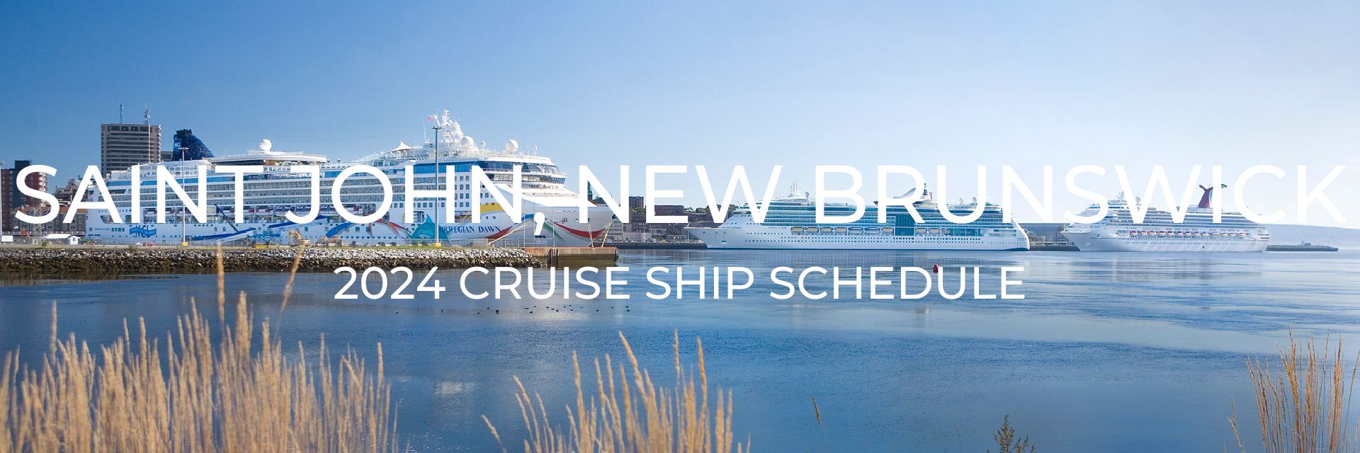 An image of three cruise ships docked in harbour in Saint John, NB, Canada. The ship in the forefront is a Norwegian Cruise Line ship. The text on the image reads " Saint John, New Brunswick - 2024 Cruise Ship Schedule". 